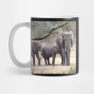 African Elephants, Serengeti National Park, Tanzania. Mug